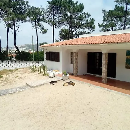 Casa Do Bosque Tatil Evi Nadadouro